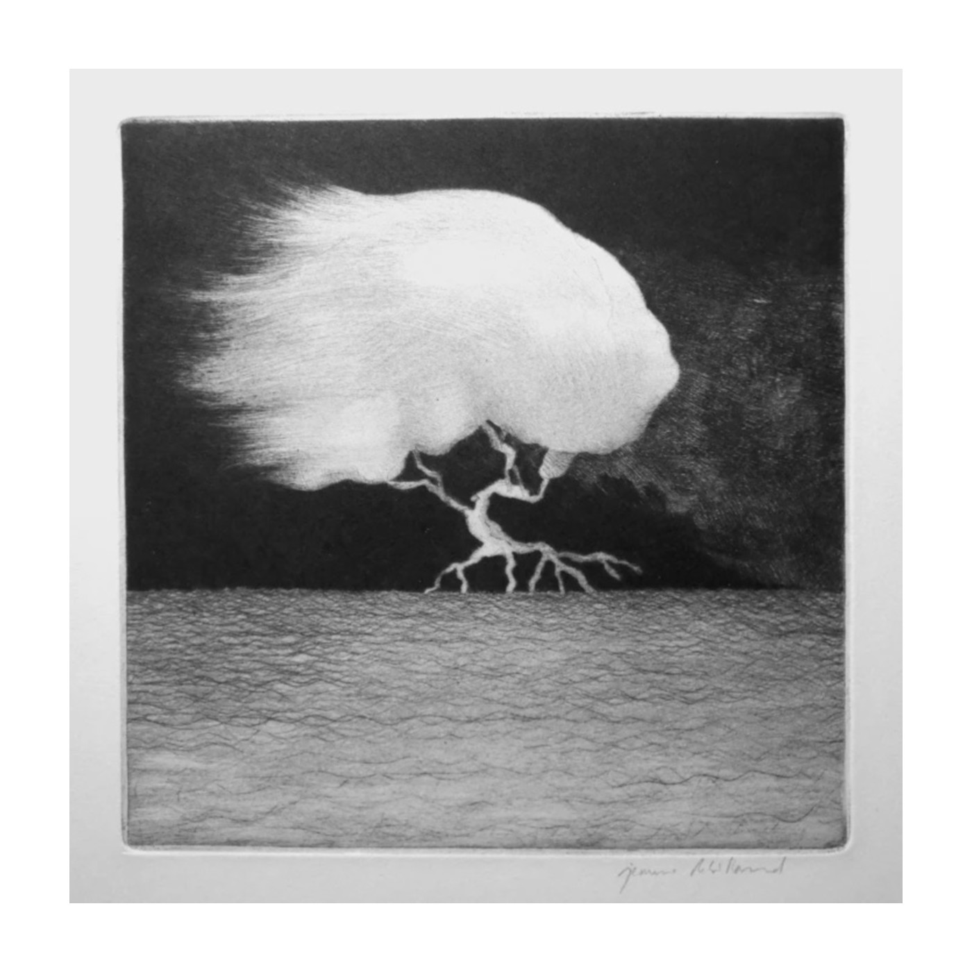 Jeanne Rebillaud